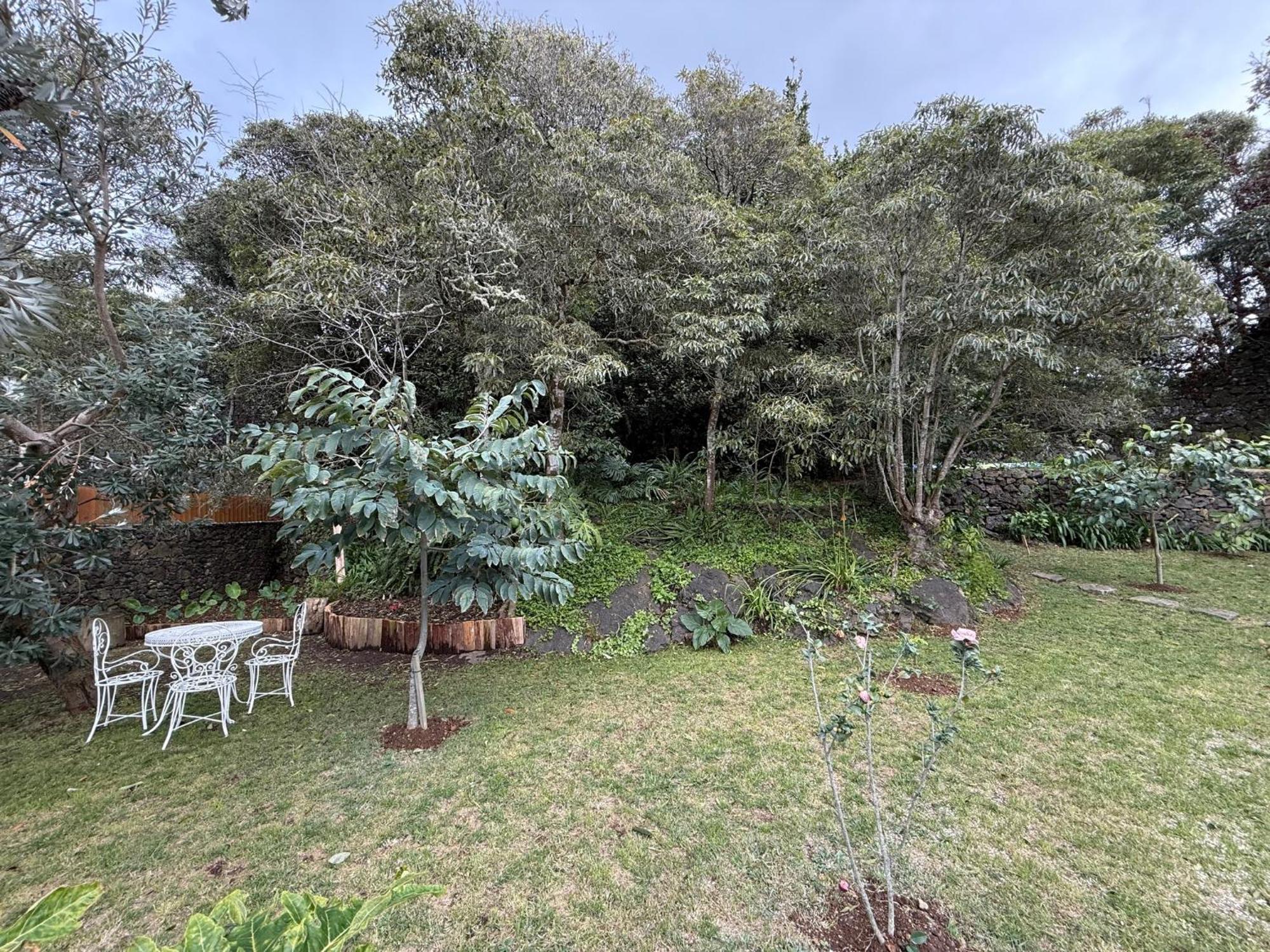 Lotus House - Heated Pool & Jacuzzi Near The Holiday home *